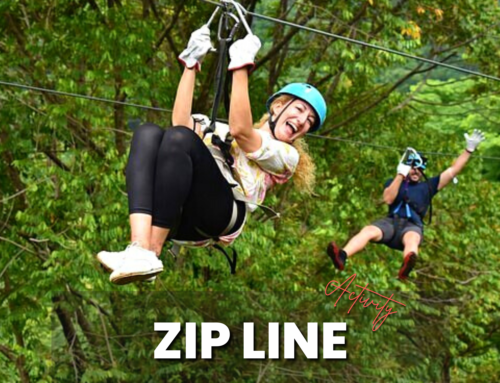 Zip Line