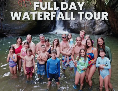 Full Day Waterfall Tour