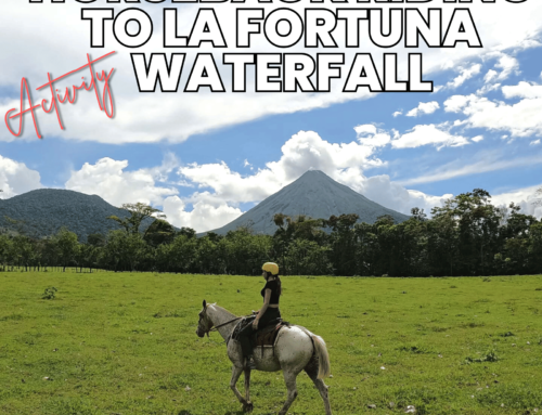 Horseback Riding to La Fortuna Waterfall