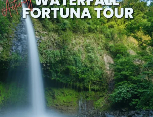 Waterfall Fortuna Tour